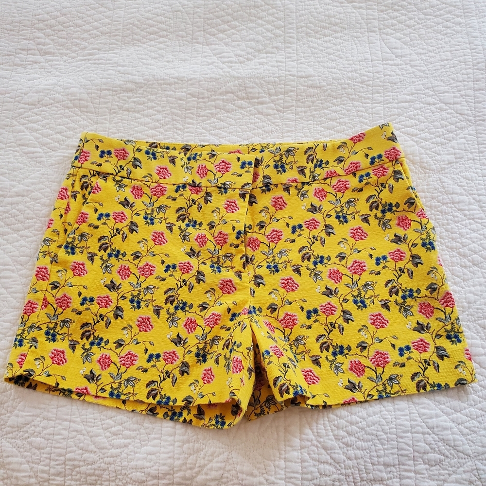 Loft flat front shorts